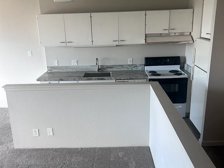 100 N Arlington Ave #18I — Photo 5