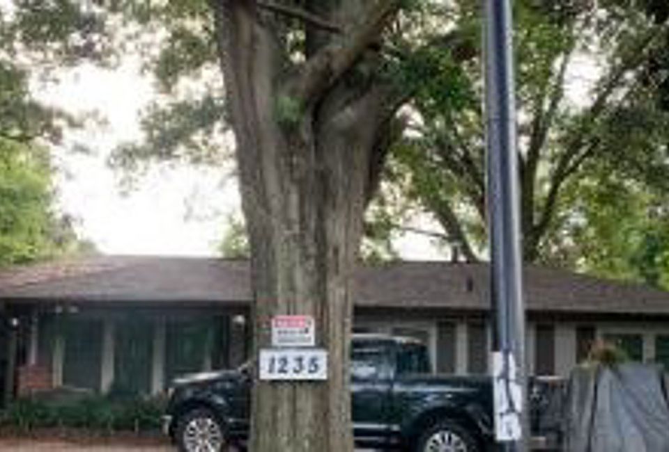 1st image of 1235 Skyline Dr