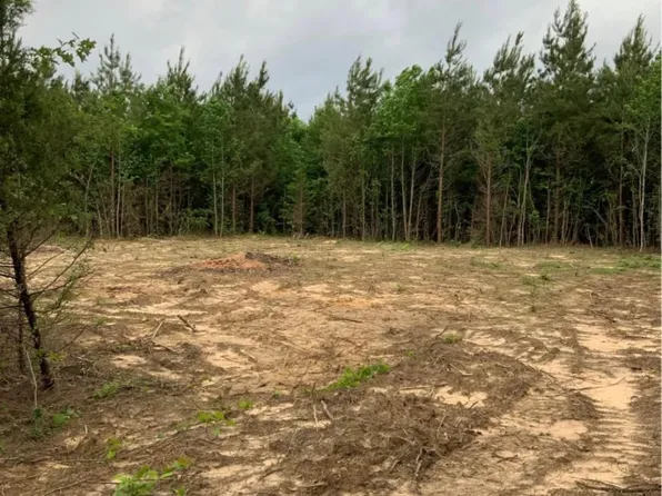 County Road 1110, Linden, TX 75563