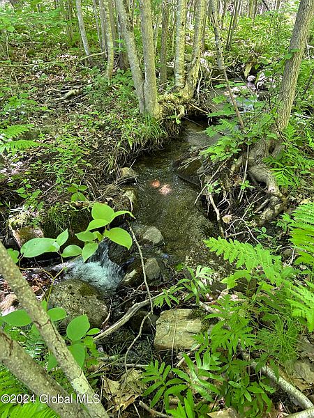 2nd image of 557 Warner Hill Road
