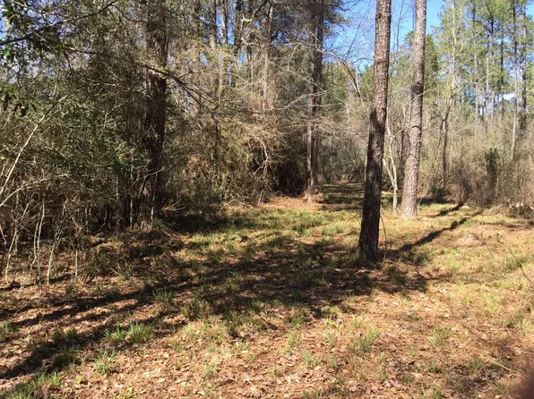 0 Buffalo Ln, Silsbee, TX 77656