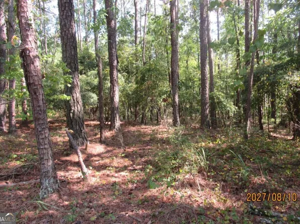 704 Chickasaw Trl SW, Sparta, GA 31087