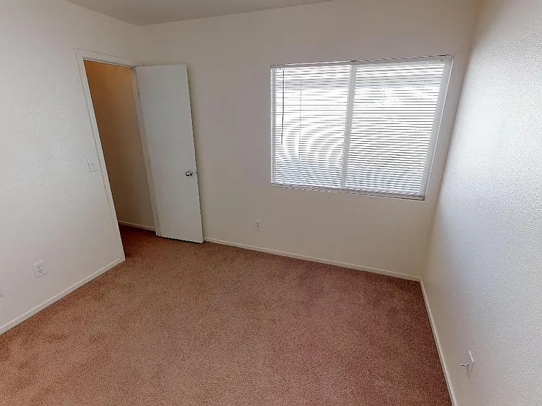 715 Plantain Lily Ave — Photo 14