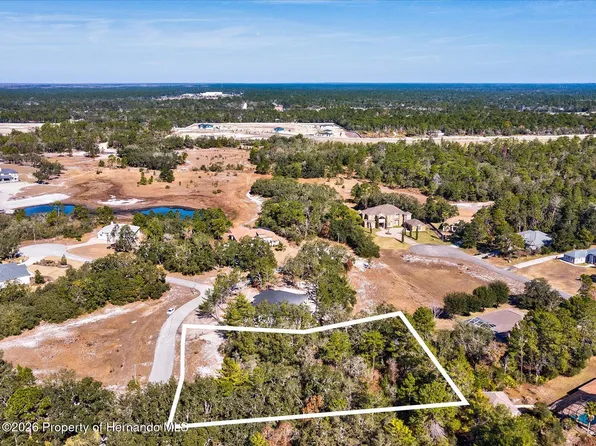 9630 Wilderness Trl, Weeki Wachee, FL 34613