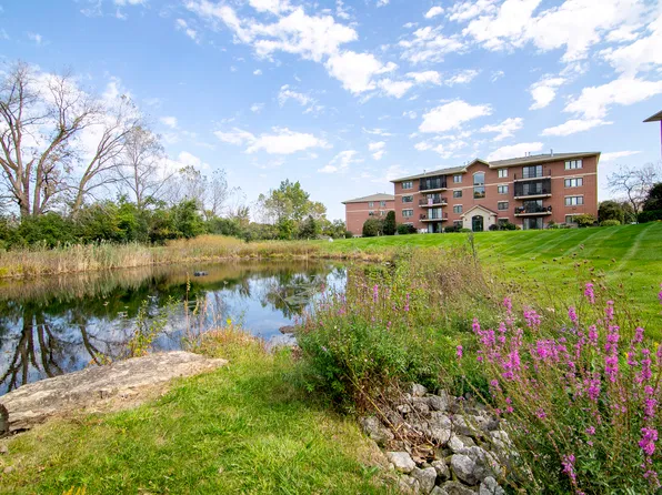 6840 W Winding Trl Unit 301, Oak Forest, IL 60452