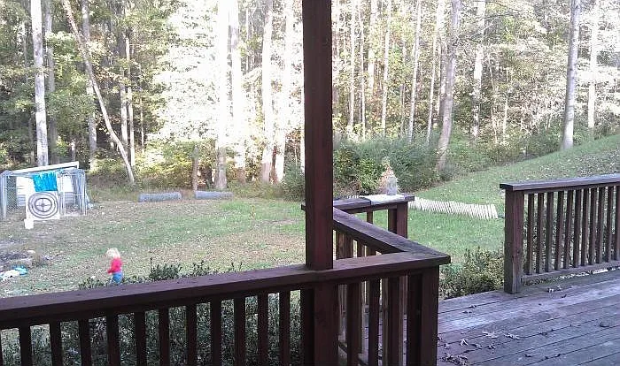 View from the Deck (yard equipment is gone)