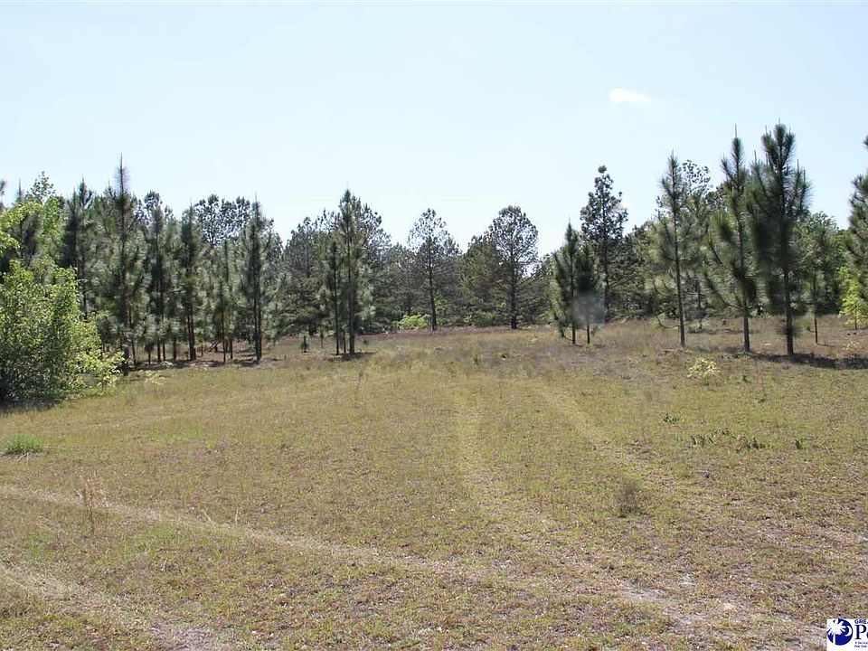 0 Patrick Hwy, Hartsville, SC 29550 Zillow