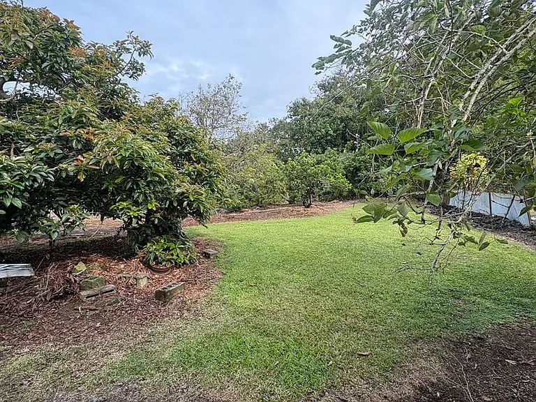 157 Mohouli St — Photo 23