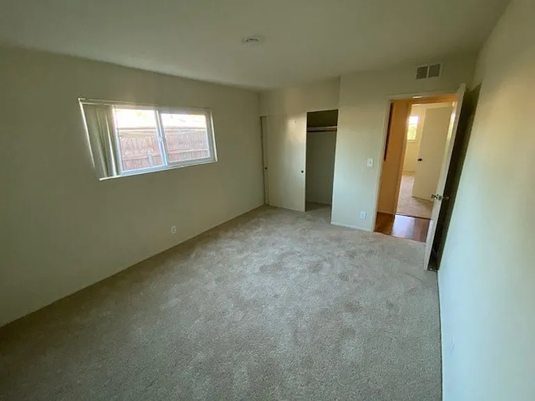 Woodland335 — Photo 7