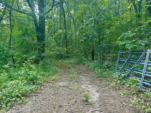 5th image of 0 New Ridge & Newt Johnson Rd