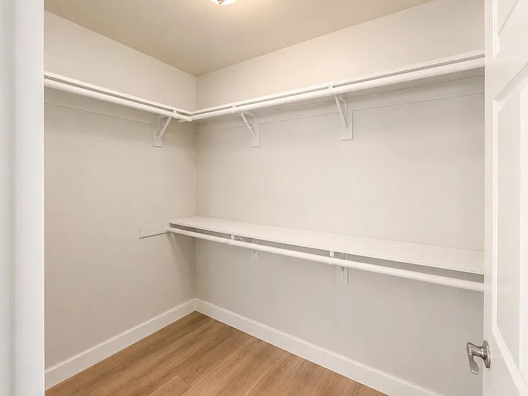 Walk-in closet in master bedroom
