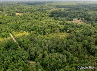 2282 W Dick Rd, Fenwick, MI 48834