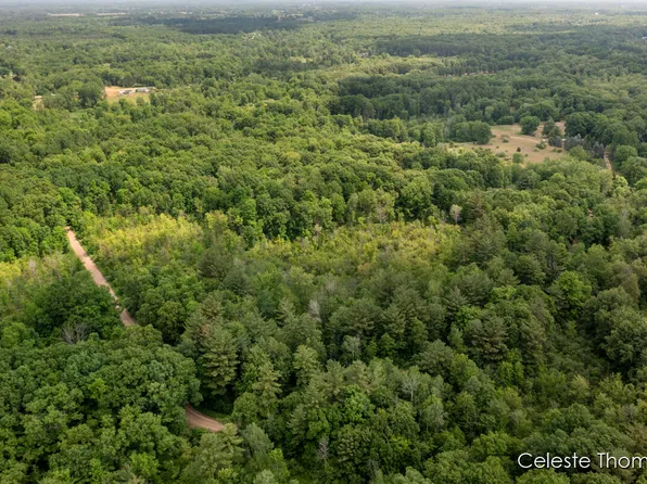 2282 W Dick Rd, Fenwick, MI 48834