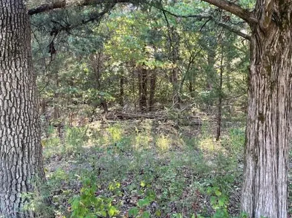 000 County Road 203, Wheatland, MO 65779