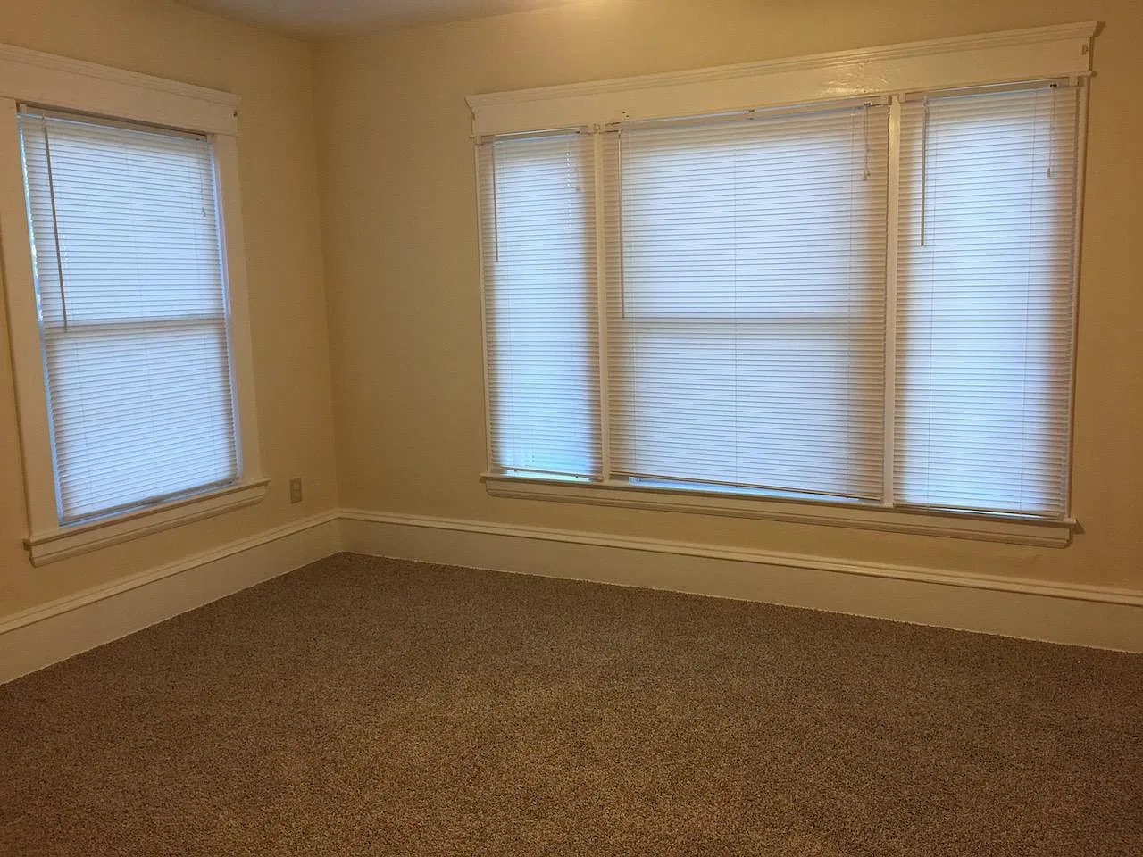 1 bed, 800 sqft, $1,200 — Photo 4