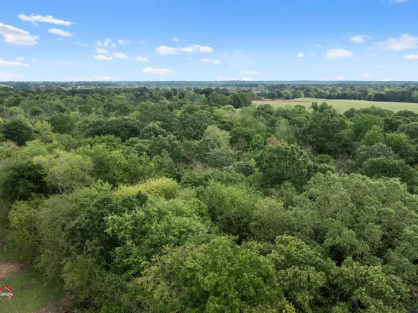 County Road 246, Beckville, TX 75631