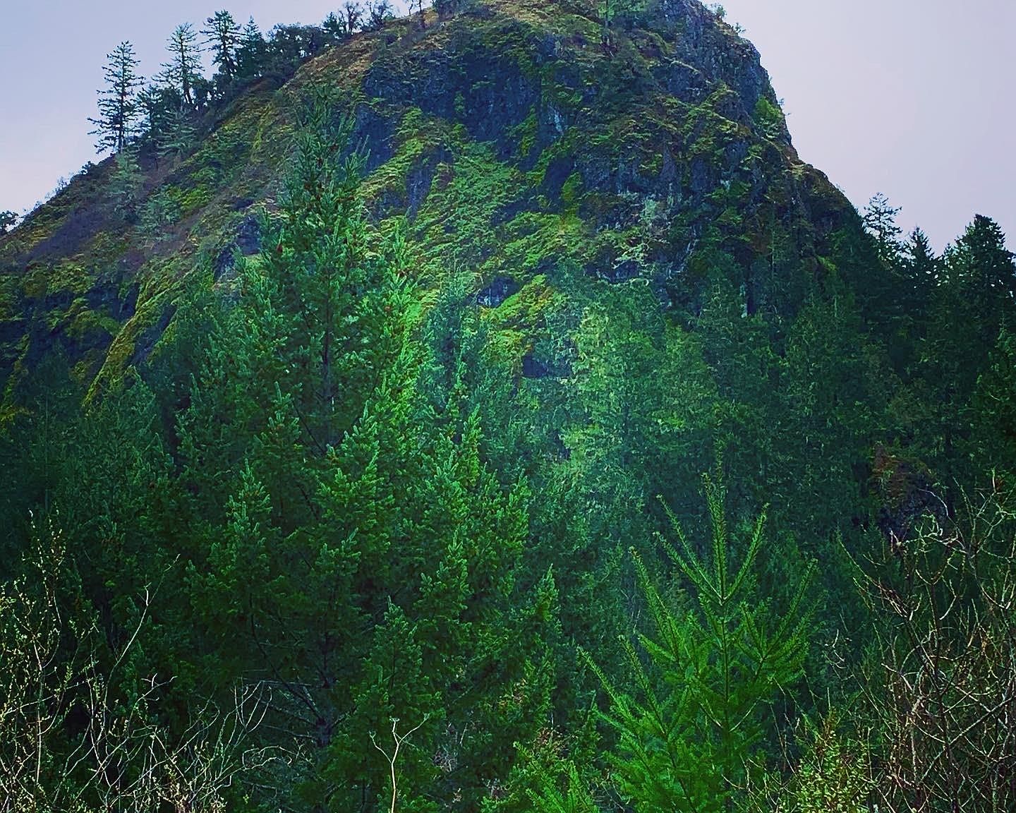 31797 Highway 36, Bridgeville, CA 95526 Zillow