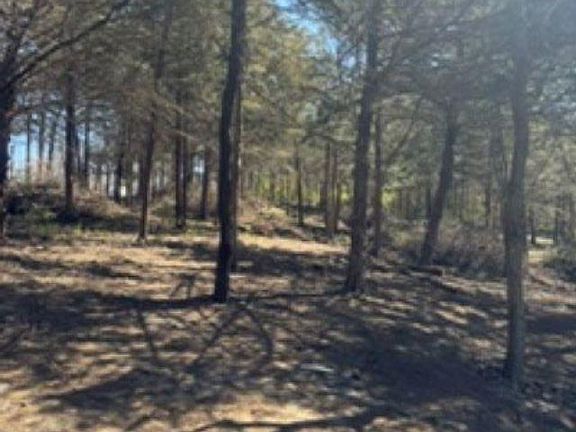4th image of 10380 Old Agency Rd