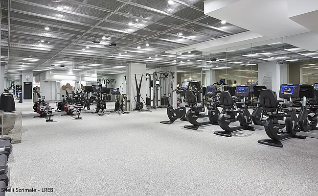 Rented by (Legacy) Shelli Scrimale, LREB | media 24