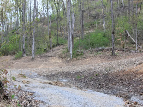 0 Routt Rd, Wallingford, KY 41093