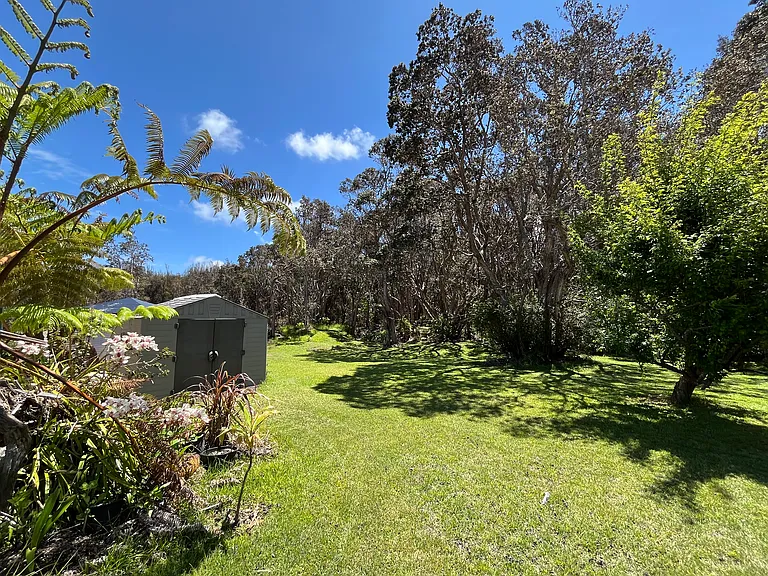 Back yard with additional shed. Yard backs to 3-acre "common area" shared by only a few neighbors. Stroll through the forest on magical pathways to the golf course, or just to enjoy nature and native birds.