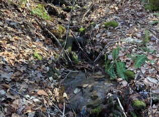 99999 High Top Mountain Rd, Leicester, NC 28748