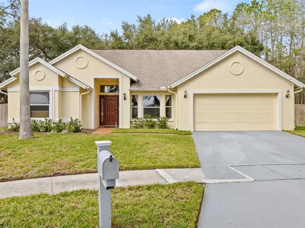 16104 Stowe Ct, Tampa, FL 33647