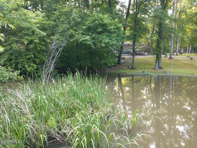 Holly Glen Rd, Decatur, TN, 37322