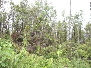 Wailele St, Mountain View, HI 96771