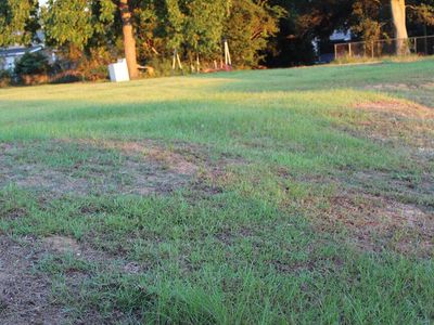 116 Elm St, Tifton, GA, 31794