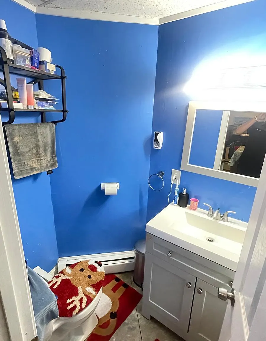 2 bed, 1200 sqft, $2,500 — Photo 3
