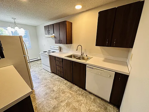 Floor plan 1 Bed 1 Bath