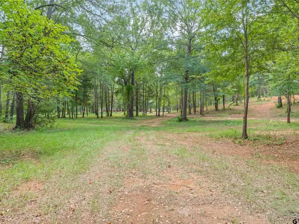 Willingham Rd, Whitehouse, TX 75791