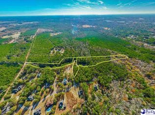 13 & 00 Overlook Dr, Darlington, SC 29540