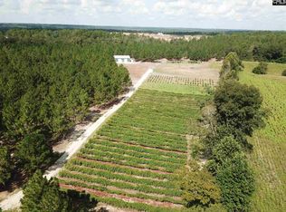 210 Liberty Hill Rd, Gilbert, SC 29054