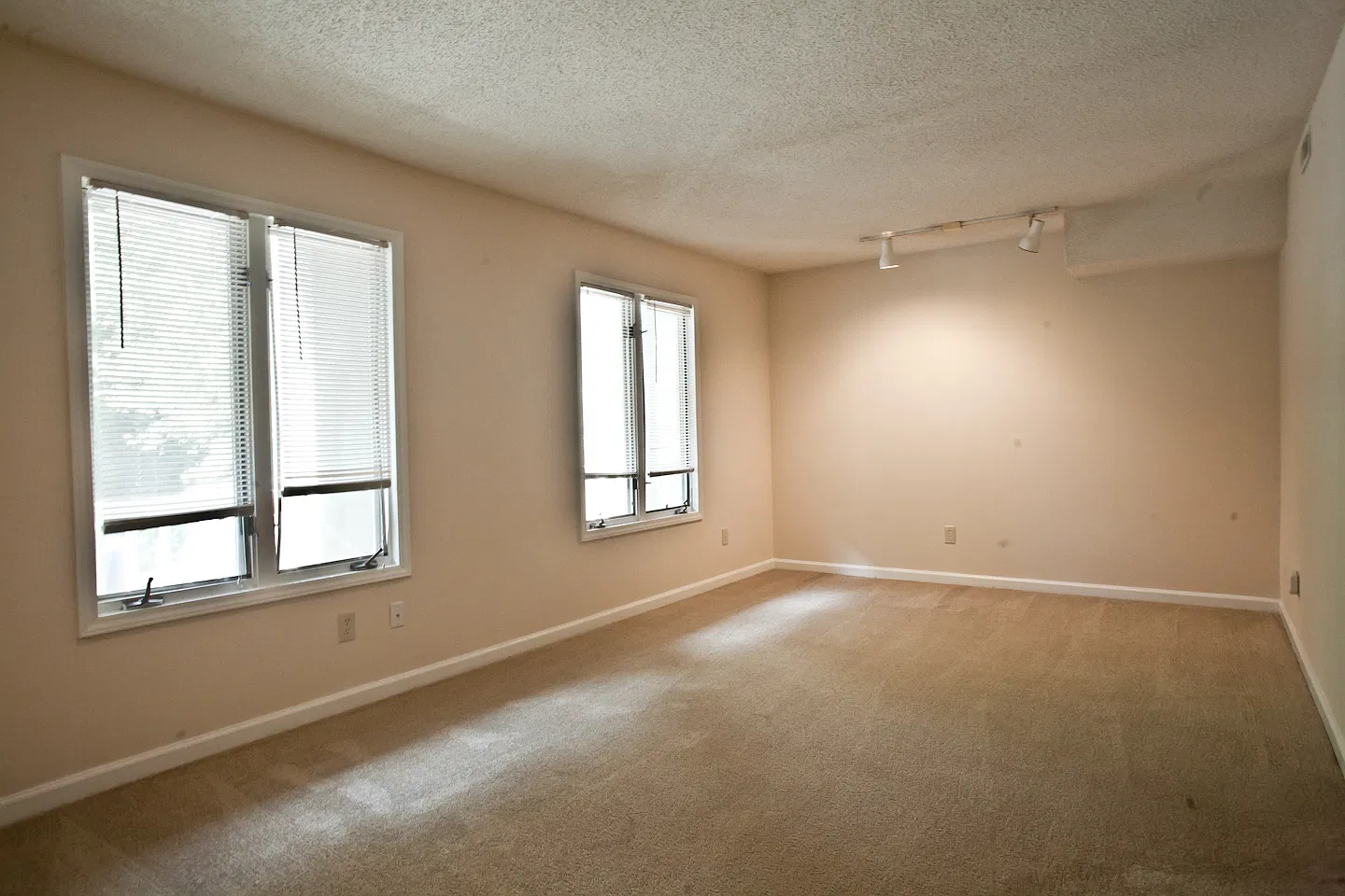 Wonderful 4BR garden apartment a few blocks from UNC. On the bus line! — Photo 2