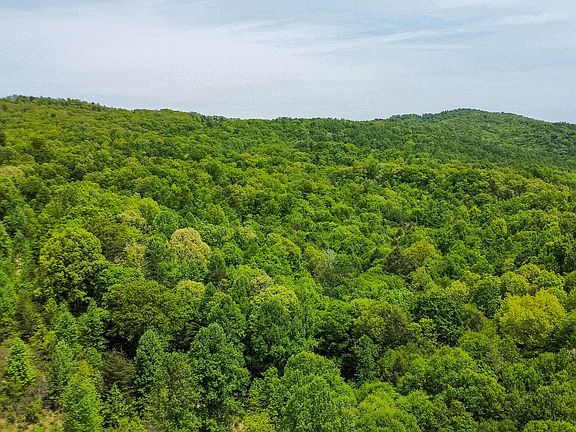 5th image of Short Moutain Rd