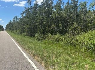 0 Sweet Hill Road, Polk City, FL 33868