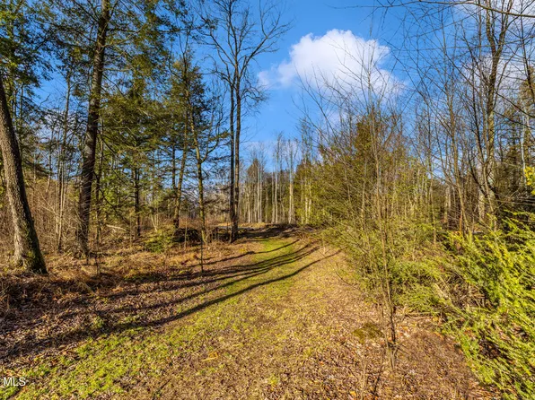 LOT Six Mountain Rd, Lilly, PA 15938