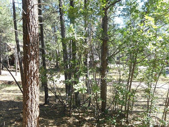 3rd image of 1216 E Lake Meadow Cir