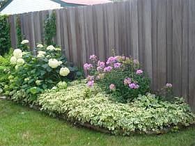 Beautiful mature plantings of shrubs and flowering annuals for bursts of summertime color