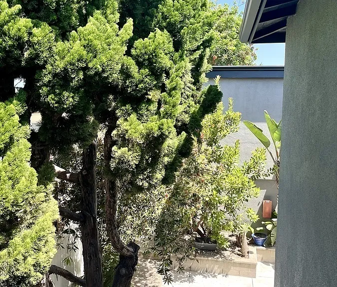 876 Manhattan Beach Blvd #1 — Photo 23