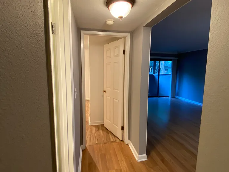 3091 Shadow Springs Pl — Photo 10