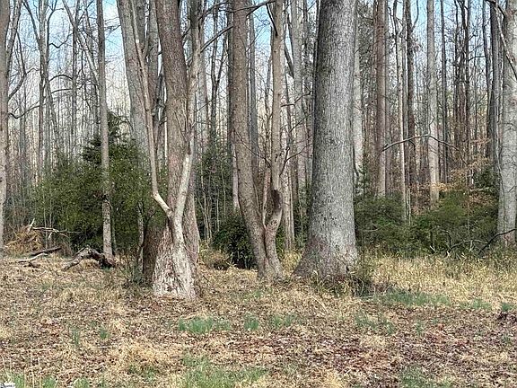 4th image of 0 McCall Rd