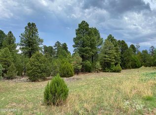 2026 State Route 277 #C, Overgaard, AZ 85933