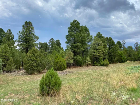 2026 STATE ROUTE 277 -- #C, Overgaard, AZ 85933