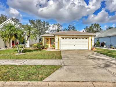 3541 Blechnum Fern Ln, Sarasota, FL, 34235
