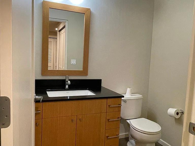 Guest Bathroom. These are worth every penny. Avoid the hassle of sharing your master bathroom with family and friends.