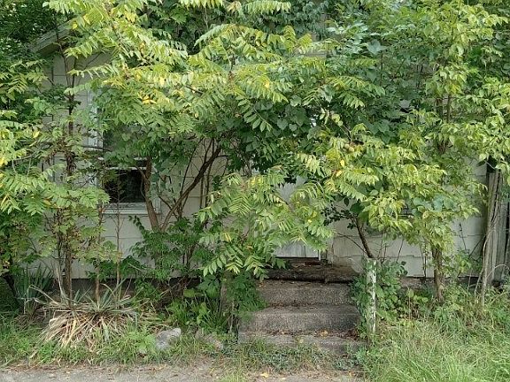 5th image of 822 Sunlight Ave