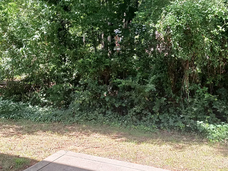 Back Patio